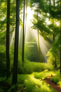 Peaceful Places