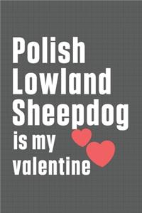 Polish Lowland Sheepdog is my valentine