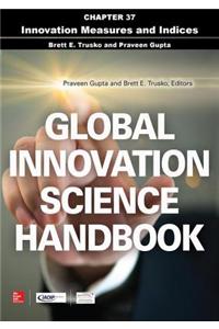 Global Innovation Science Handbook, Chapter 37 - Innovation Measures and Indices
