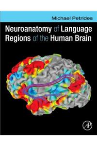 Neuroanatomy of Language Regions of the Human Brain