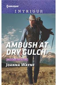 Ambush at Dry Gulch