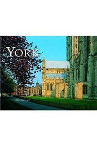 York Groundcover