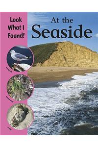 Look What I Found!: At The Seaside