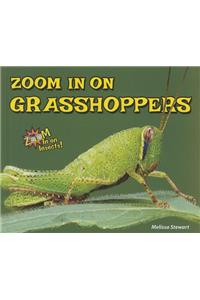 Zoom in on Grasshoppers