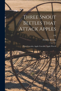 Three Snout Beetles That Attack Apples