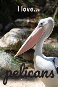 I Love Pelicans