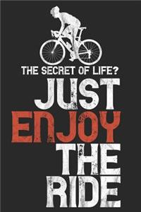 The Secret of Life? Just Enjoy the Ride - Bike