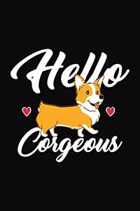 Hello Corgeous