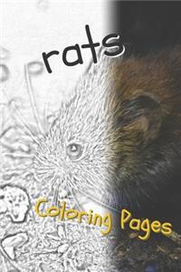 Rat Coloring Pages
