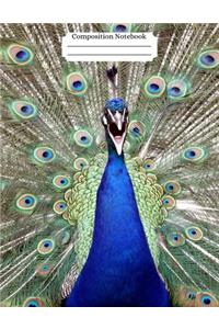 Composition Notebook Peacock Design Vol 8