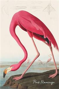 Pink Flamingo