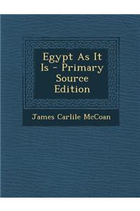 Egypt as It Is