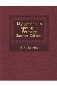My Garden in Spring