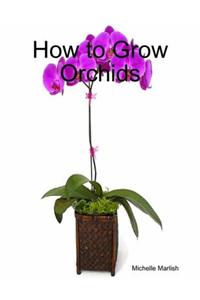 How to Grow Orchids