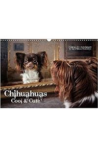 Chihuahuas - Cool & Cute / UK-Version 2017