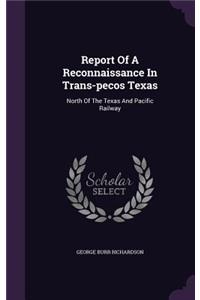 Report Of A Reconnaissance In Trans-pecos Texas