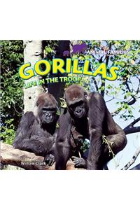 Gorillas