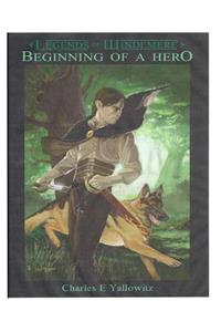 Legends of Windemere: Beginning of a Hero
