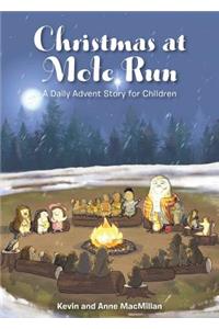 Christmas at Mole Run
