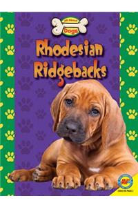 Rhodesian Ridgebacks