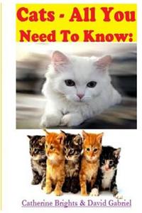 Cats - All You Need To Know