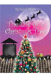 The Life of a Christmas Tree
