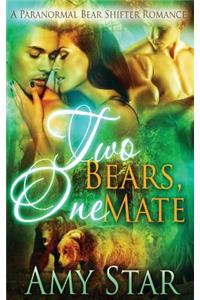 Two Bears, One Mate