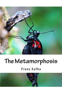 Metamorphosis