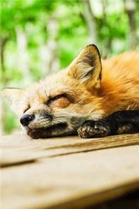 MindBlowing Cut Animal Fox Journal 4