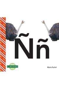 Nn