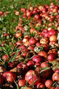 Windfall Apples Journal