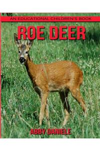 Roe deer! An Educational Children's Book about Roe deer with Fun Facts & Photos