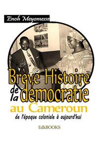 BrÃ¨ve Histoire de la DÃ©mocratie Au Cameroun
