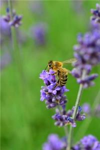 Lavender Flowers and a Bee Journal