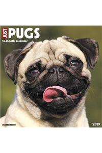 Just Pugs 2019 Wall Calendar (Dog Breed Calendar)