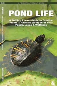 Pond Life: An Introduction to Familiar Plants and Animals Living in or Near Ponds, Lakes and Wetlands