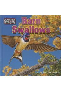 Barn Swallows