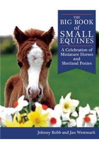 Big Book of Small Equines
