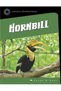 Great Hornbill