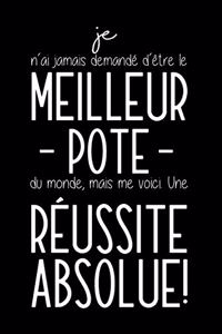 Je N'ai Jamais Demandé D'être Le Meilleur Pote Du Monde, Mais Me Voici. Une Réussite Absolue!