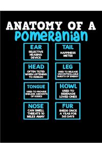 Anatomy of a Pomeranian