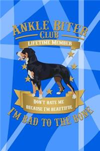 Ankle Biter Club Lifetime Member: Don't Hate Me Because I'm Beautiful, I'm Bad to the Bone - Greater Swiss Mountain Dog Notebook Journal Composition Book