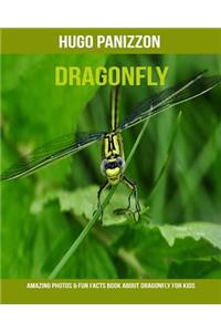 Dragonfly: Amazing Photos & Fun Facts Book about Dragonfly for Kids