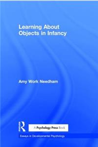 Learning About Objects in Infancy