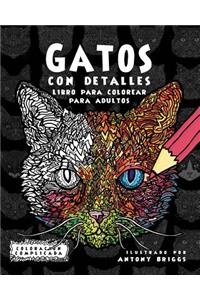 Gatos con Detalles