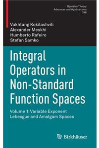 Integral Operators in Non-Standard Function Spaces
