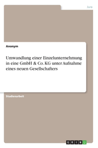 Umwandlung einer Einzelunternehmung in eine GmbH & Co. KG unter Aufnahme eines neuen Gesellschafters