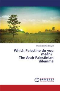 Which Palestine do you mean? The Arab-Palestinian dilemma