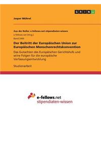 Beitritt der Europäischen Union zur Europäischen Menschenrechtskonvention