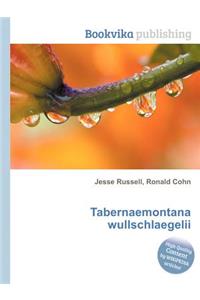 Tabernaemontana Wullschlaegelii